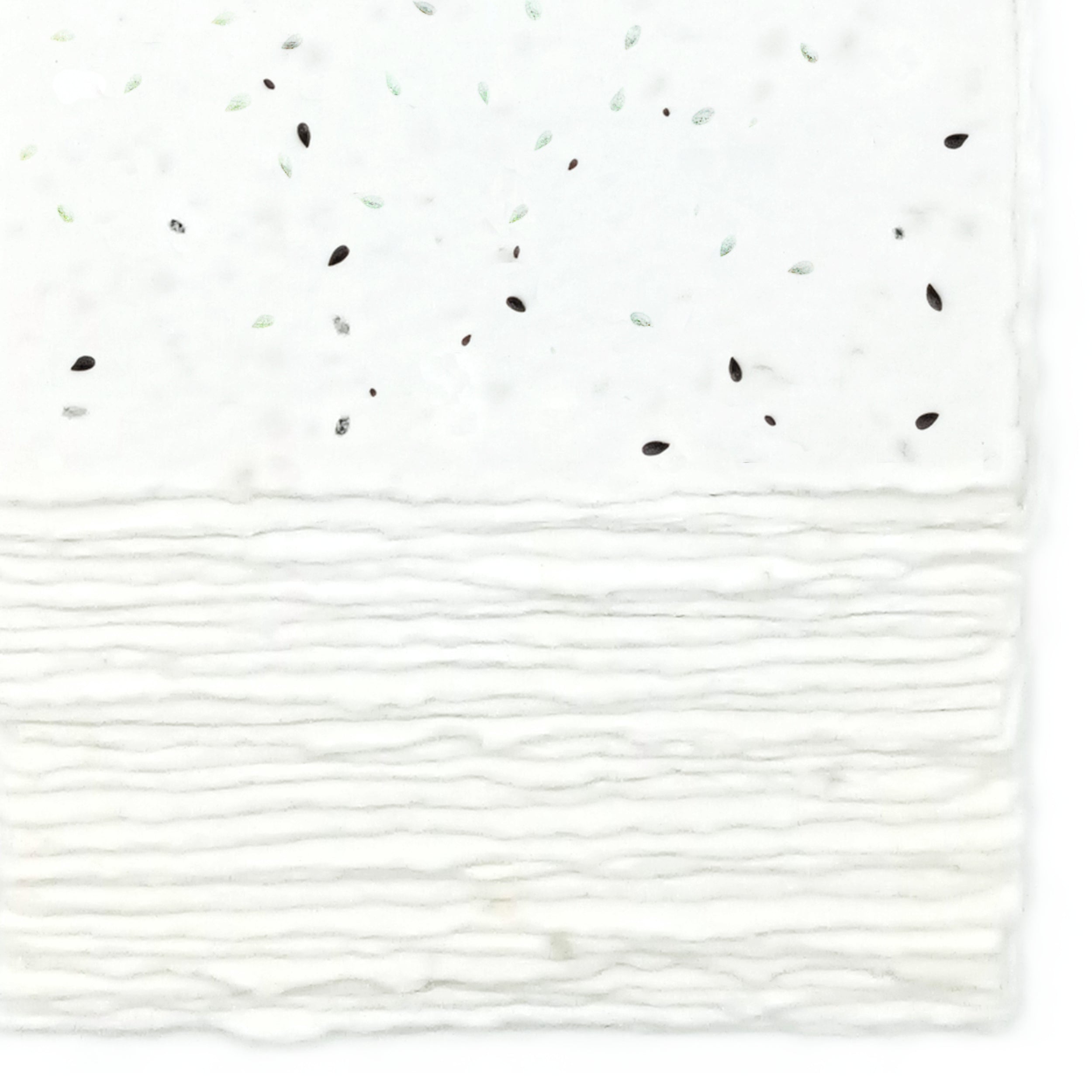 Biglietti Piantabili per Inviti e Partecipazioni | Semi Basilico