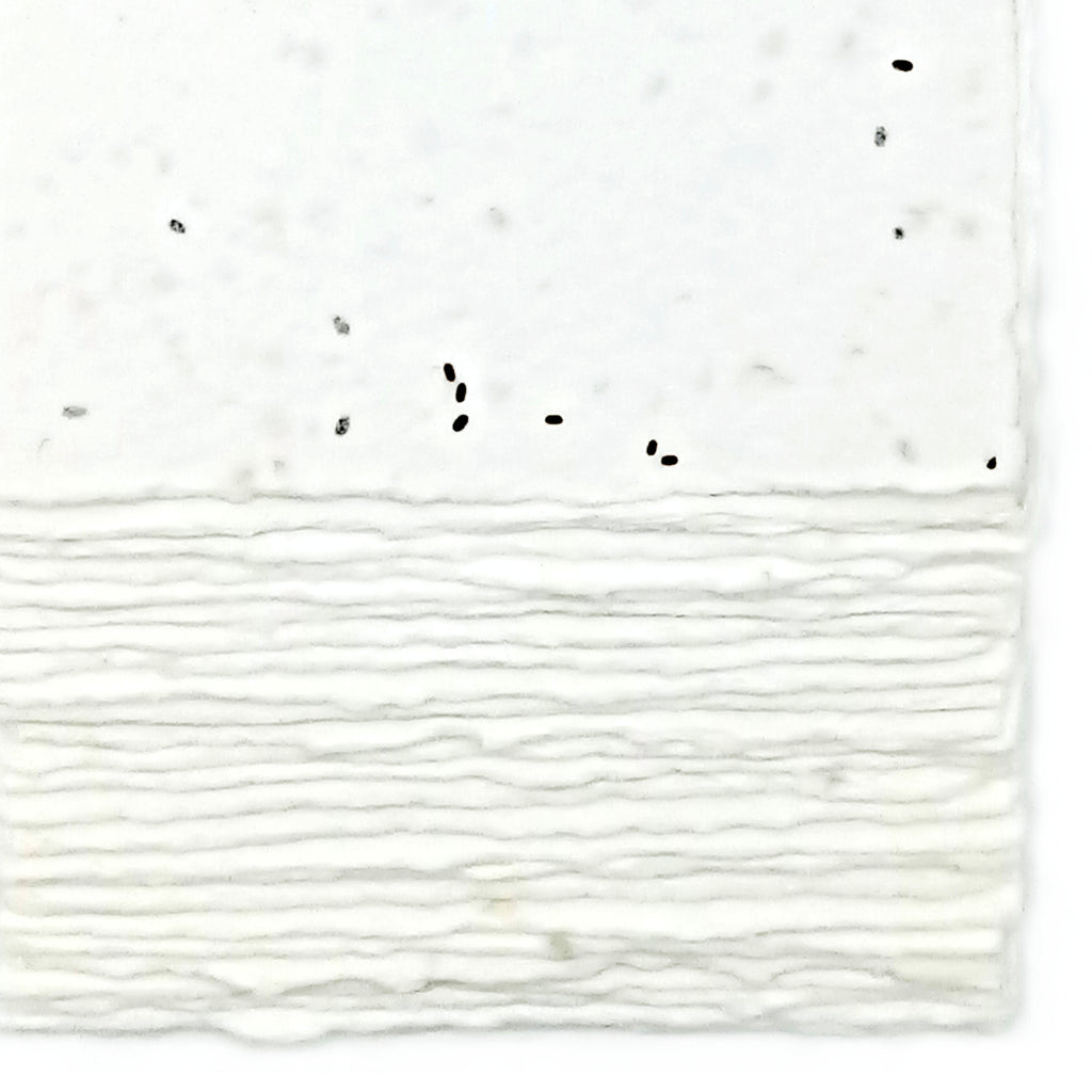 Biglietti Piantabili per Inviti e Partecipazioni | Semi Lavanda