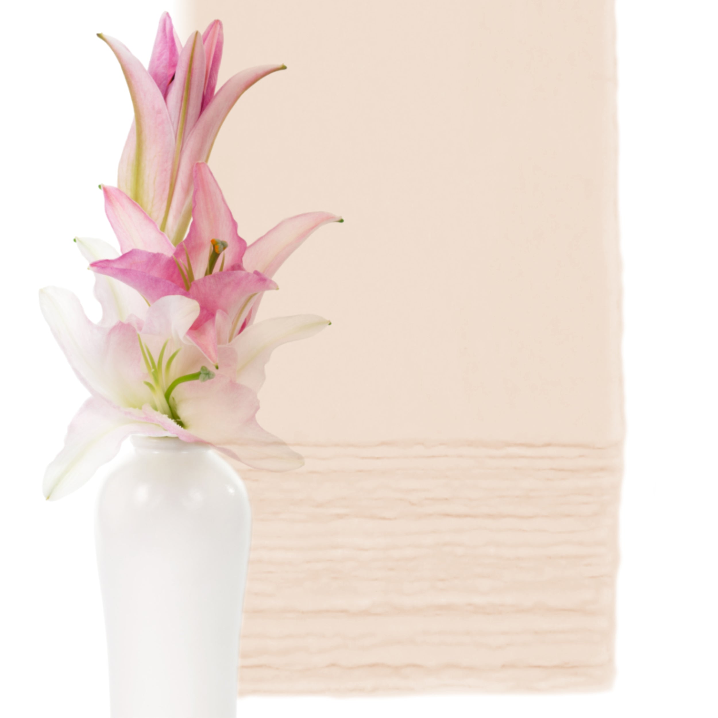 Biglietti in Carta Artigianale con Pigmenti Naturali