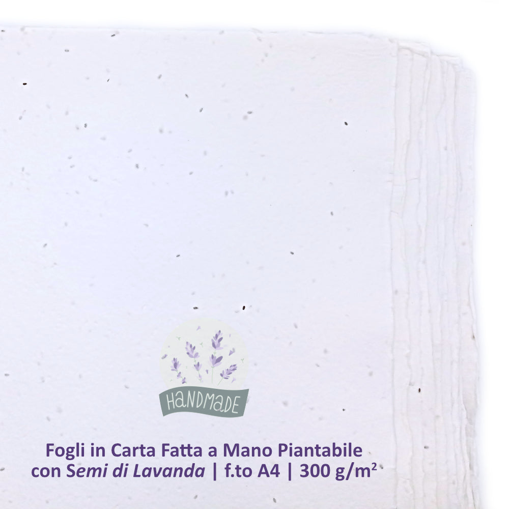 Fogli A4 Piantabili in Carta Artigianale | Semi Lavanda - 10 pz
