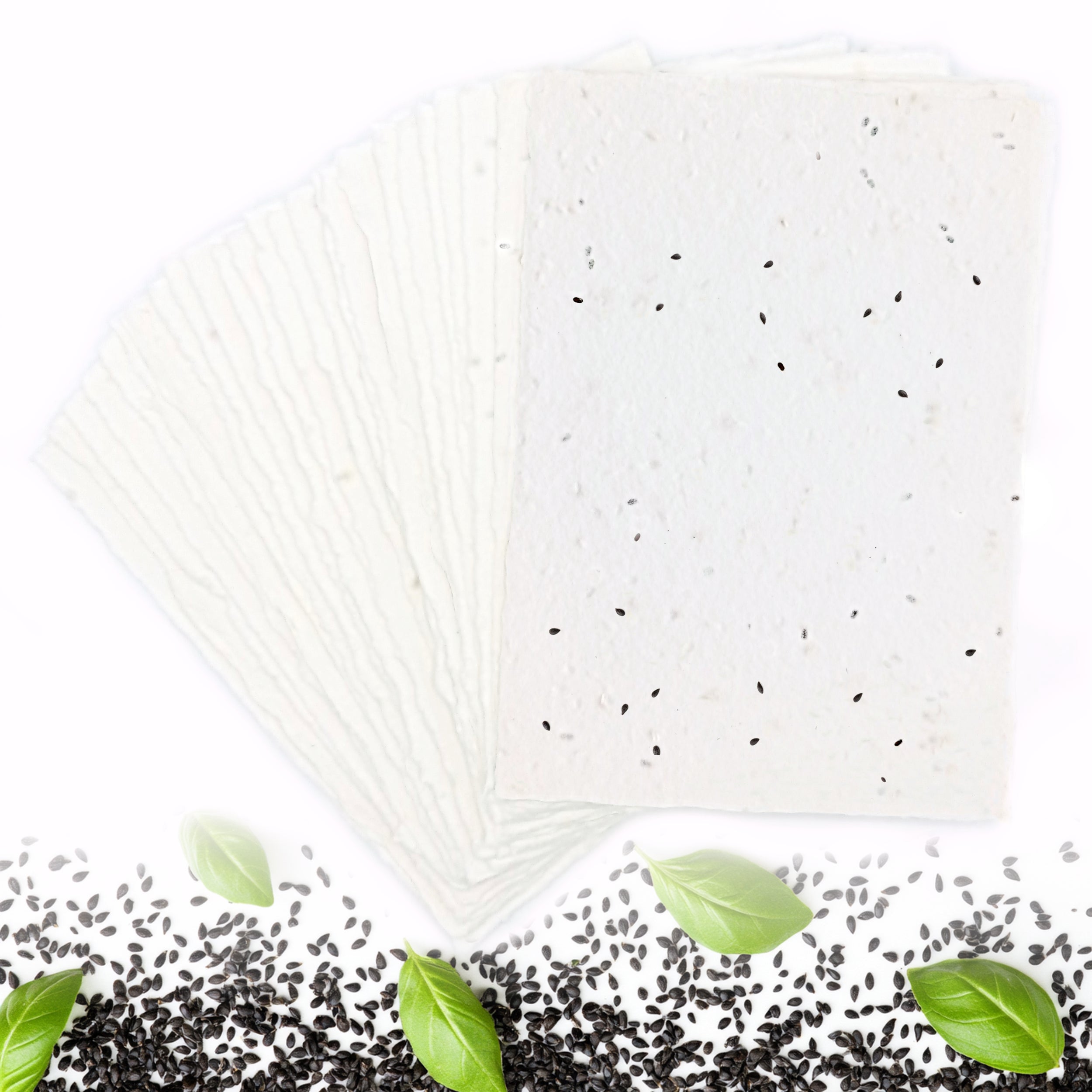 Biglietti Piantabili per Inviti e Partecipazioni | Semi Basilico