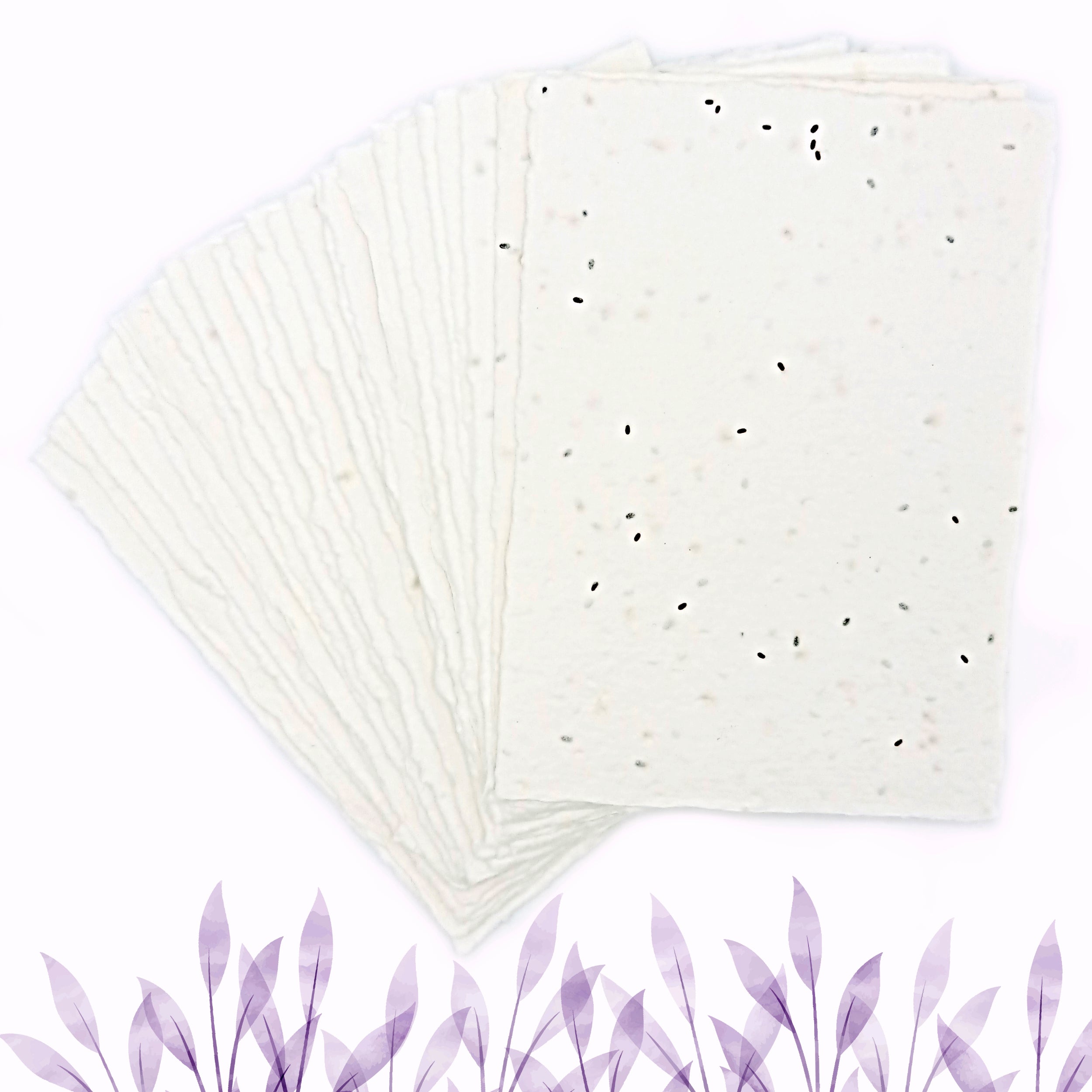 Biglietti Piantabili per Inviti e Partecipazioni | Semi Lavanda