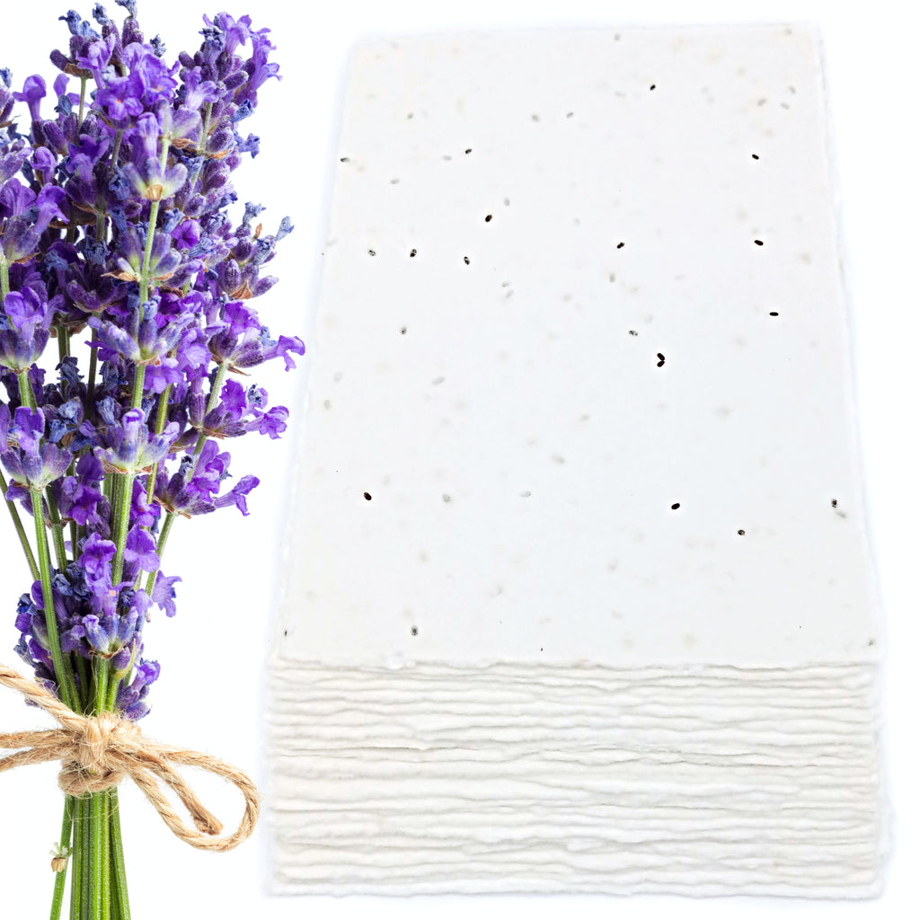 Biglietti Piantabili per Inviti e Partecipazioni | Semi Lavanda