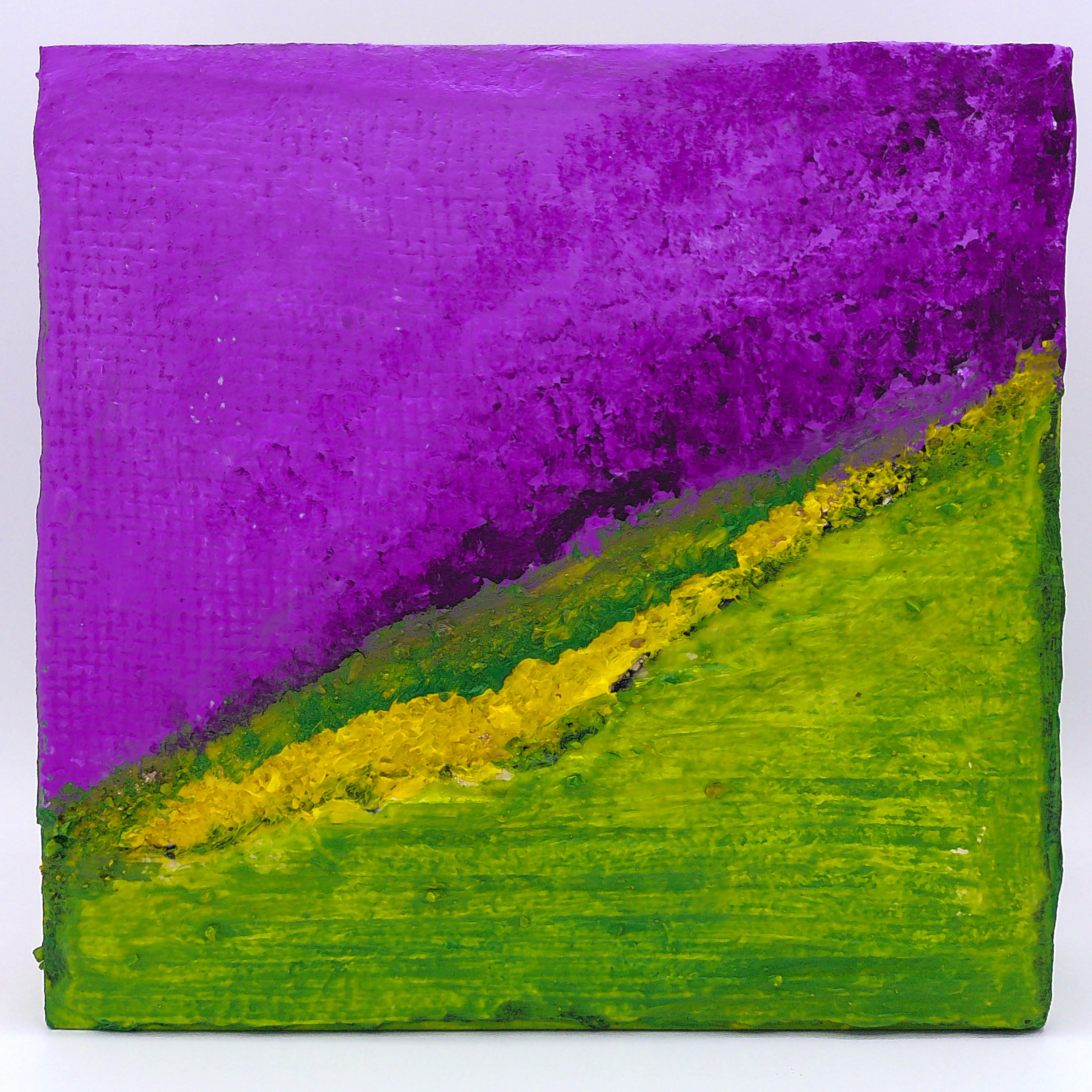 "Le geometrie della natura" 2